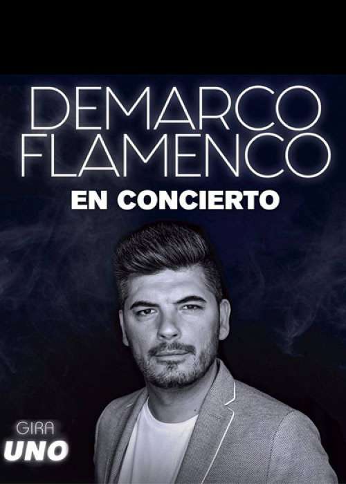 producción del concierto de demarco flamenco